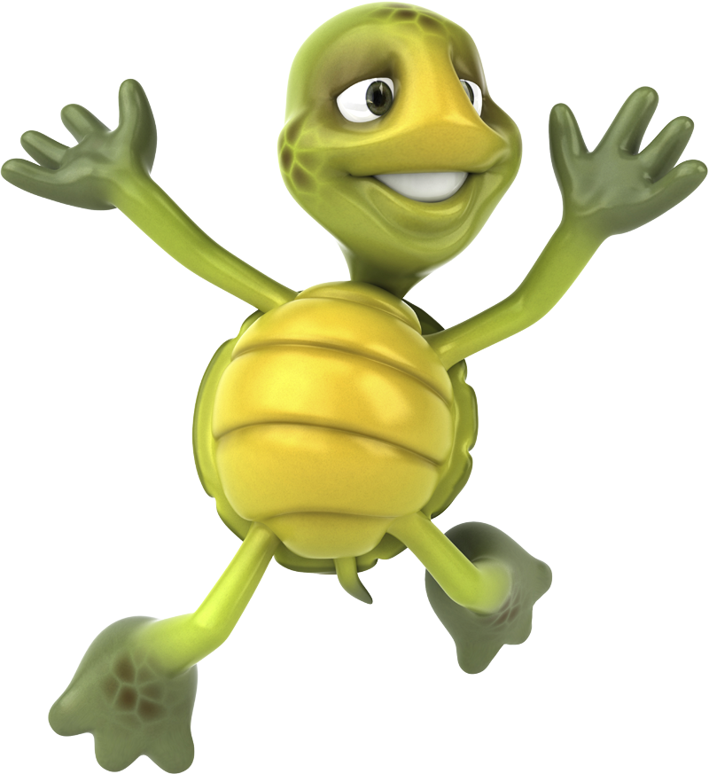 turtle-beach-shelldon2